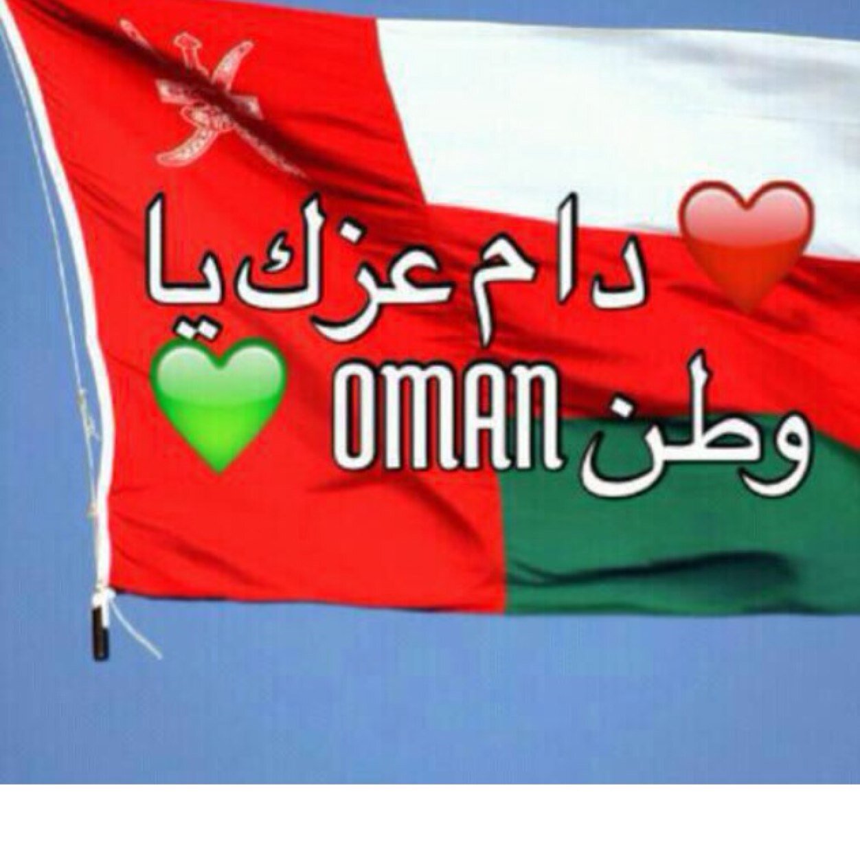 33311Hamdan's profile picture. 