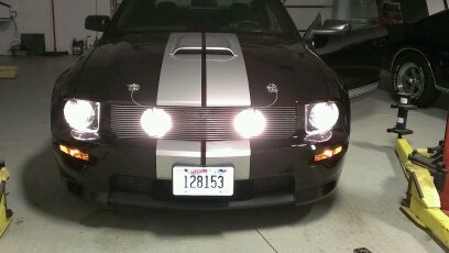 65_Fastback's profile picture. 