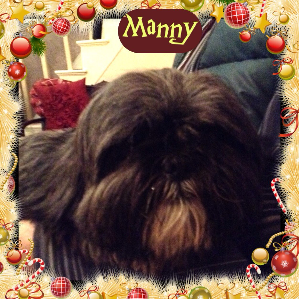 JacksonJldisley's profile picture. 