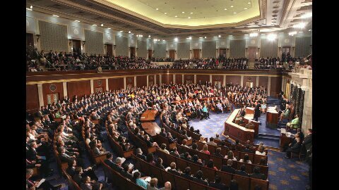 USF House of Representatives Profile