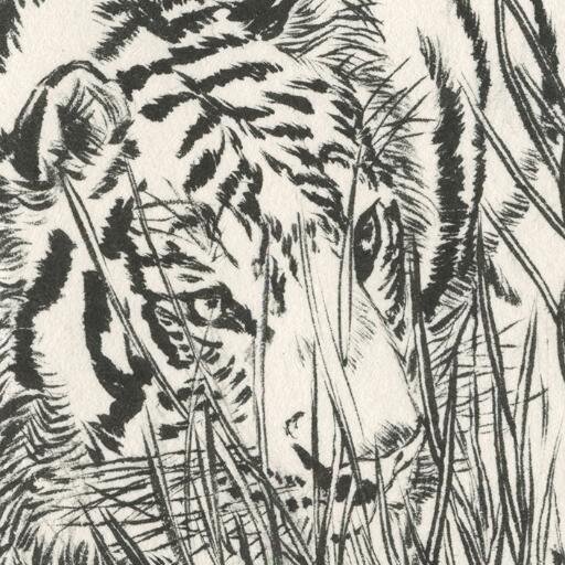 davicheleillo's profile picture. 