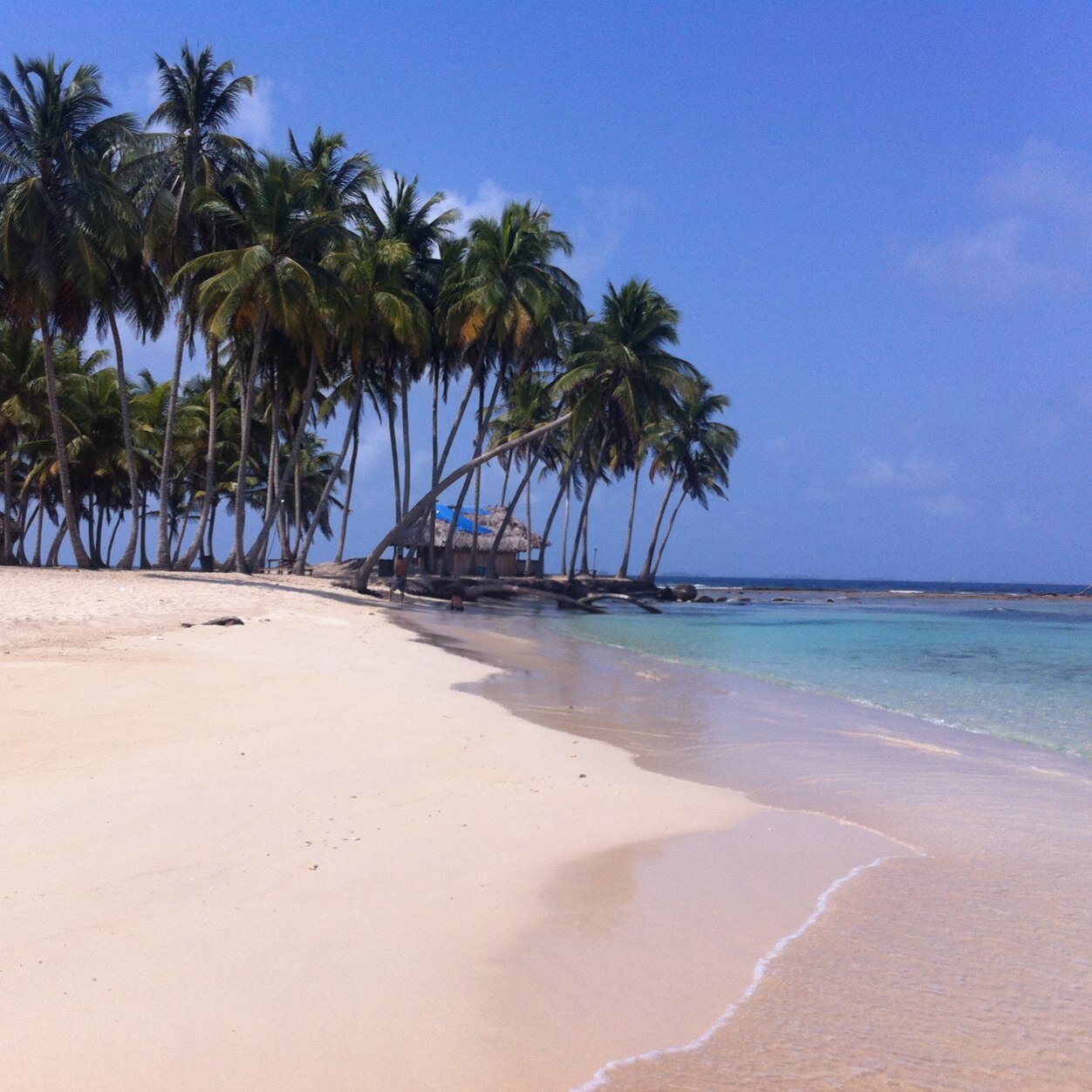 The Big Kahuna of Panamá