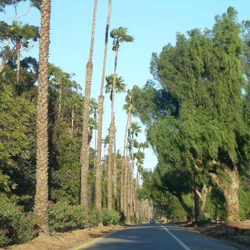 Look no more for fun events in Riverside