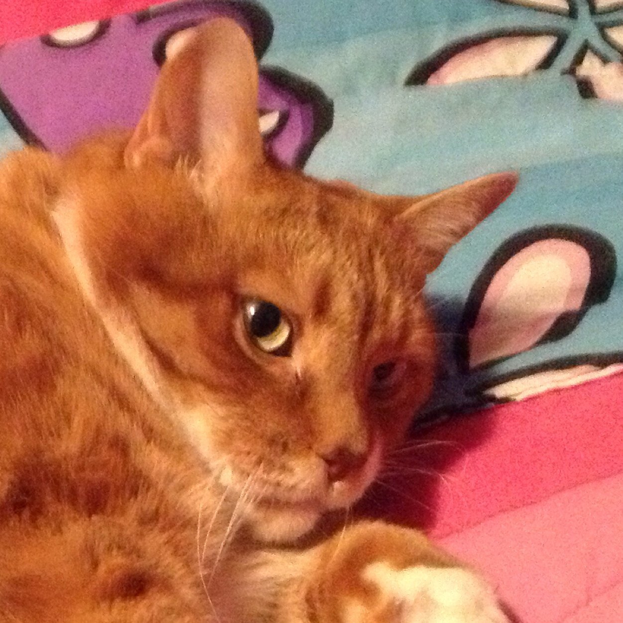 AndMilab's profile picture. 