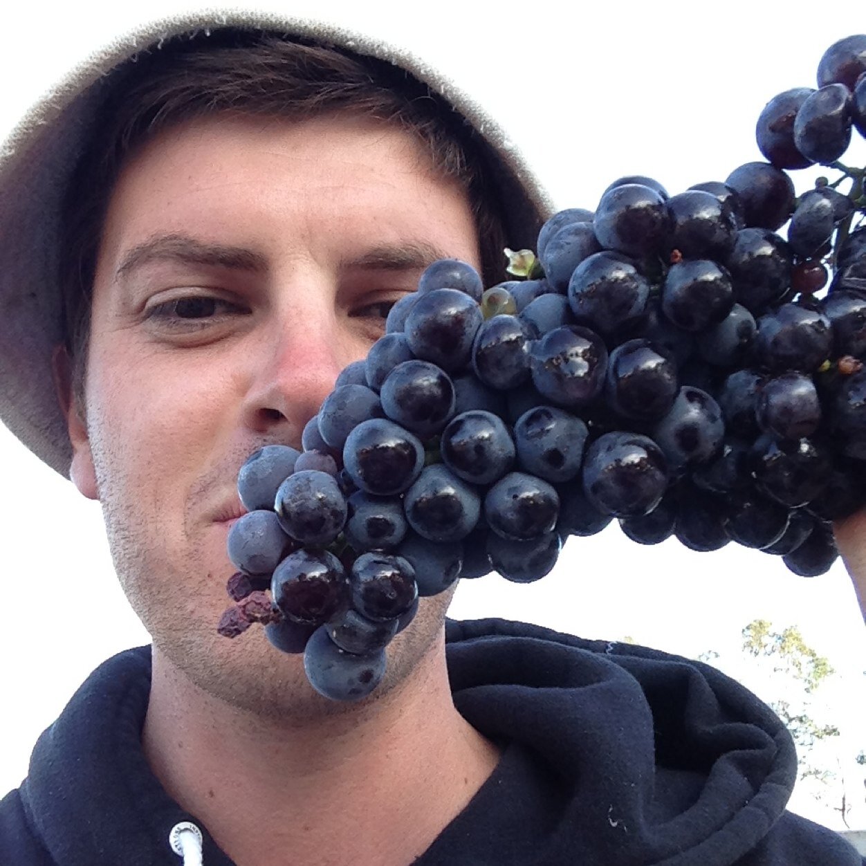 Winemaker / Grape Grower /Eastern Peake/ Appellation Ballarat / LATTAvino / Wine Curator - Wine and the Country / Knock About