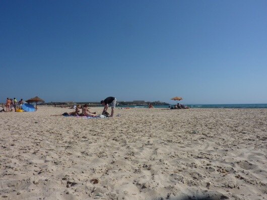 etmsesebil's profile picture. 