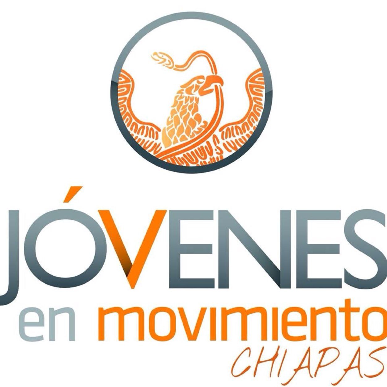Órgano político juvenil de innovación,divulgación,formación y acercamiento a los jóvenes que conforman la sociedad chiapaneca.