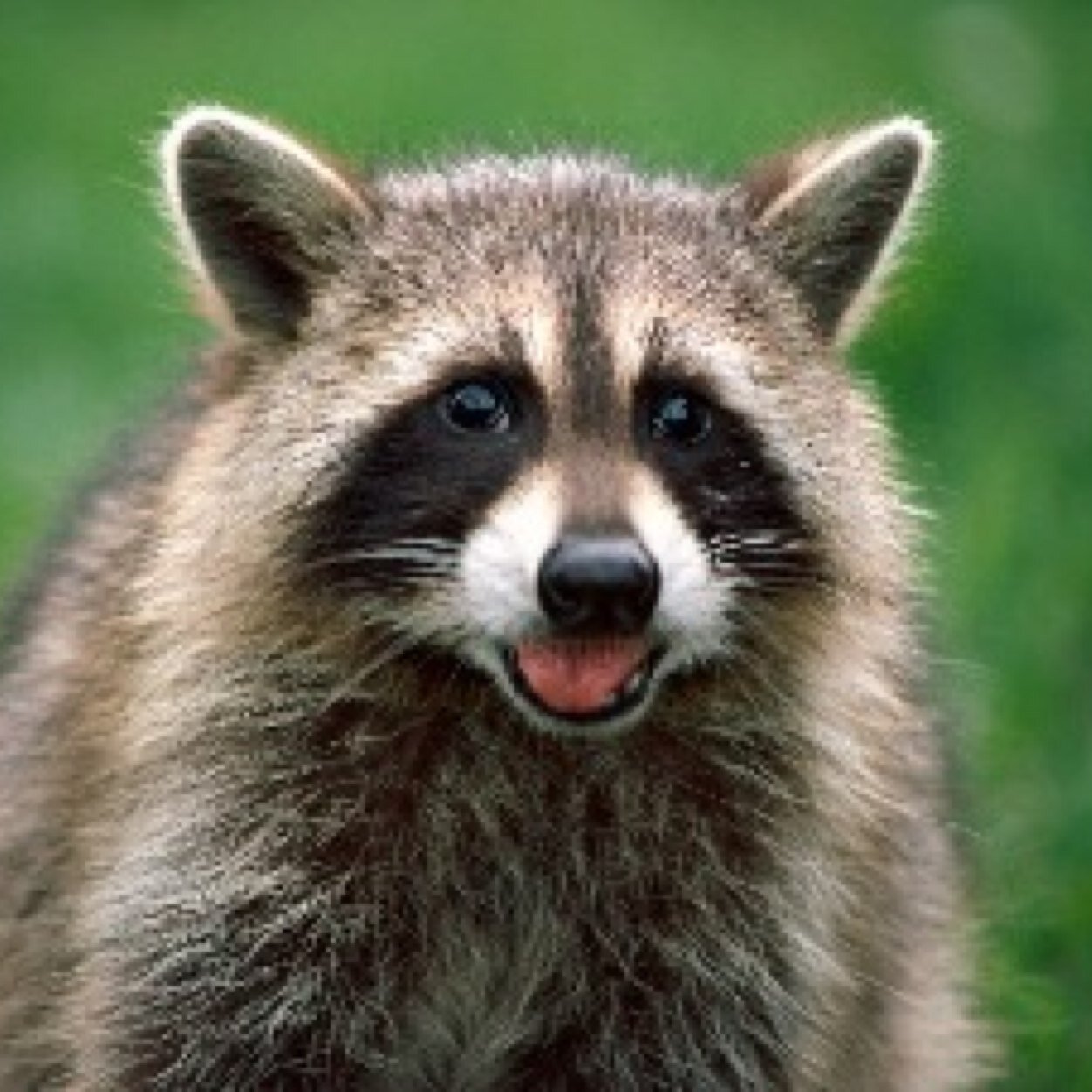 WFritter's profile picture. Gamer/youtuber/twitchstreamer/facebooker follow me on all of the above
                   Youtube/user/WilyFritter