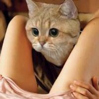 hey (@ass_hatchet) 's Twitter Profile Photo hey (@ass_hatchet) 's Twitter Profile Photo