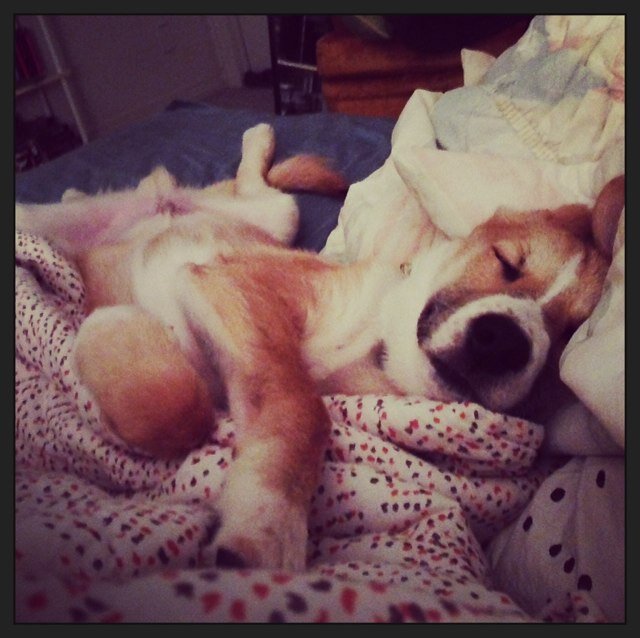 LanaChoy's profile picture. 