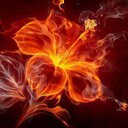 Kim Adair - @Keyzy0423 - Twitter