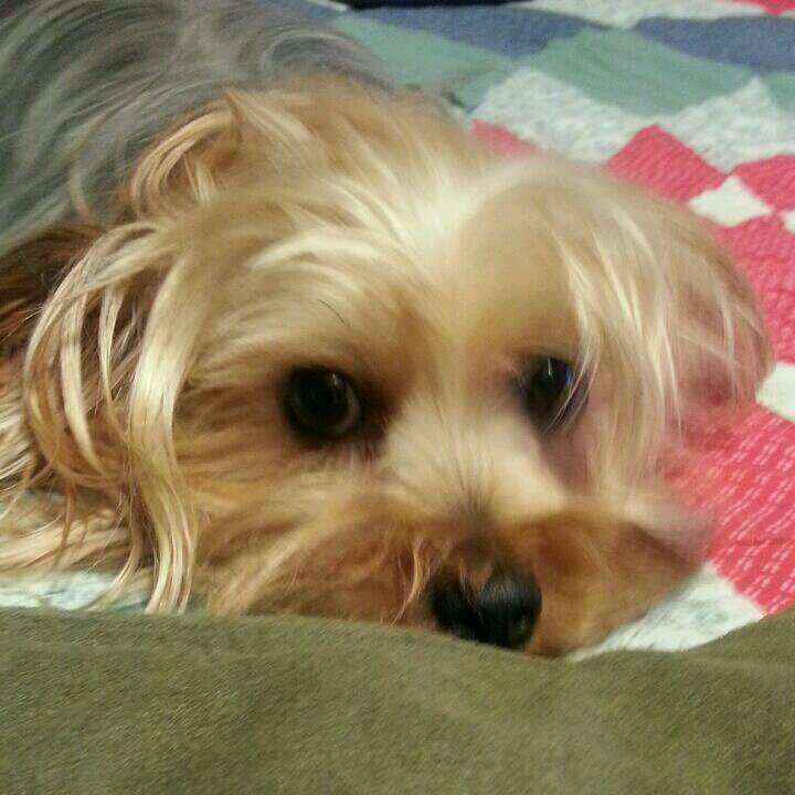 SharonM74980850's profile picture. 