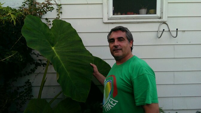 pleduc03's profile picture. 