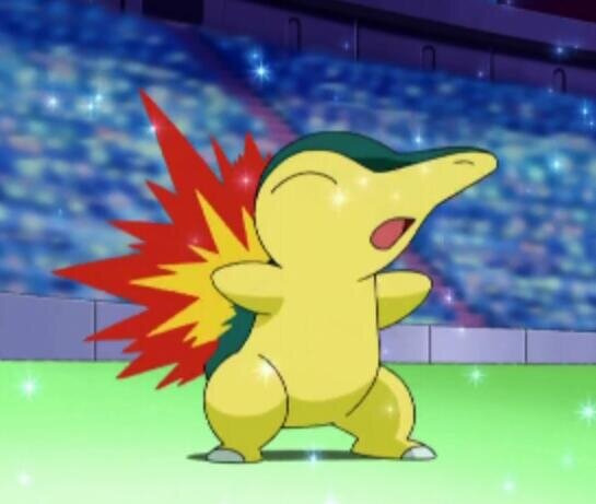 An average male Cyndaquil with a hasty nature. 
Move set: Quick Attack, Smokescreen, Ember, Dig
Trainer: @TheCandyTrainer