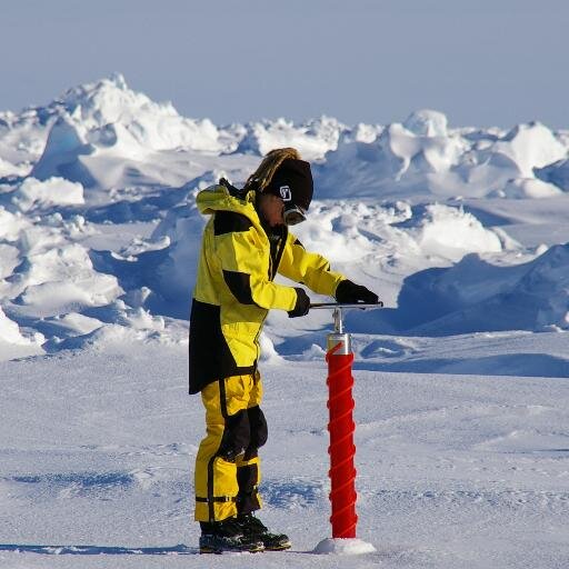 Women in Polar Science. We aim to connect women in polar science and inspire others to become polar scientists!