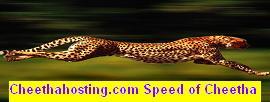 Global Reliable Affordable Web hosting site