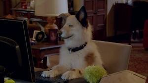 DogWithABlawg's profile picture. getting high with my bitches