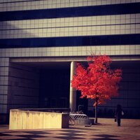 MIT CPW (@mitcpw) 's Twitter Profile