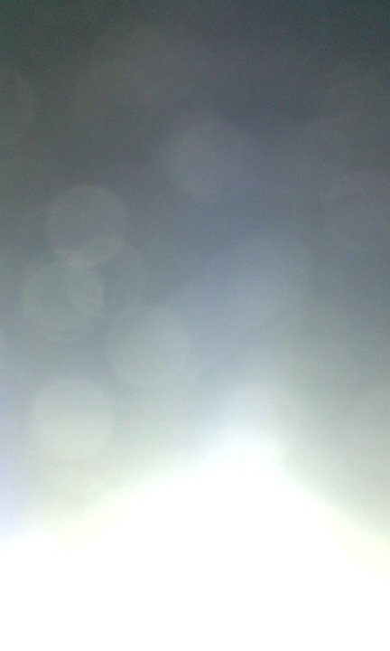 MieBelang's profile picture. 