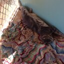 Matt Hoffmann - @Mhoffy1 - Twitter