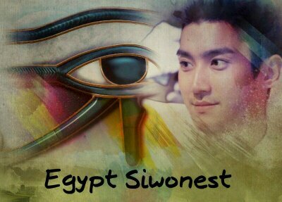  ☆Egypt Siwonest ☆さんのプロフィール画像