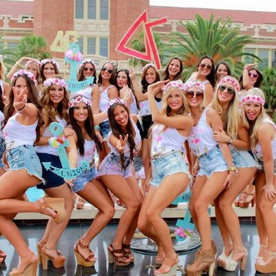 gamma fsu dg