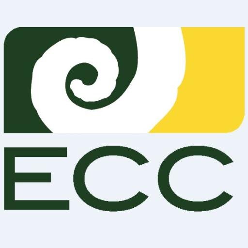 CSU's Engineering College Council
