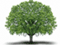 Live green, reduce your carbon footprint andsave money at the same time - makes perfect sense! If you agree, follow me for tips and advice