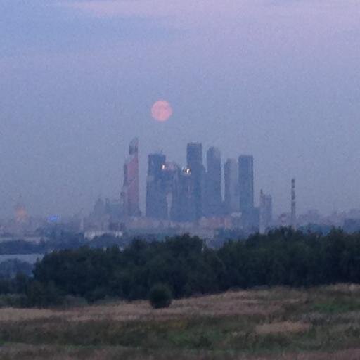 не ватник