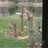 MatthewStone422's profile image