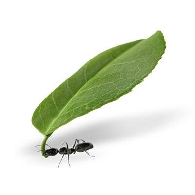 artik_design's profile picture. Artik Design is a professional graphic and web design agency based in Edson, Alberta.