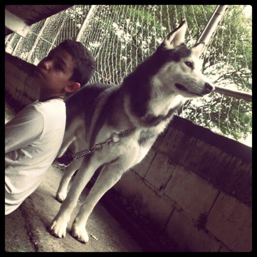 JorgeLLopezG's profile picture. MADRIRISTA hasta el fin de mis dias♥. @garethbale11 @realmadriden @cristiano