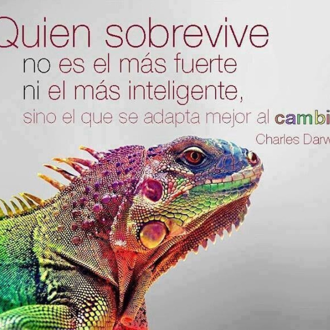 No me gusta la hiprocrecia, amo la vida, entregada en el amor y en una amistad doy el máximo