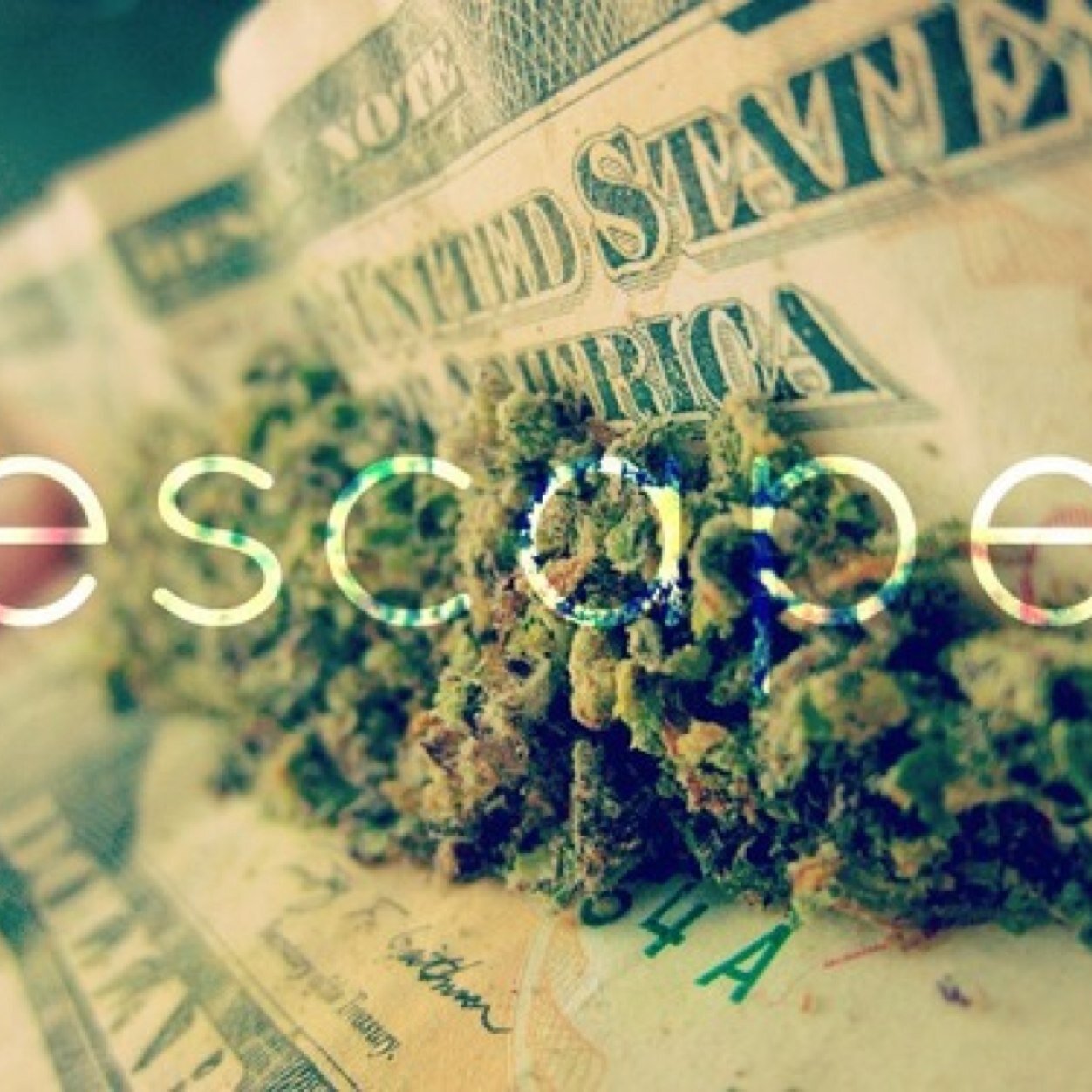 budMerchant420's profile picture. Sit back and take notes while I take tokes of that marijuana smoke.