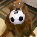 jason markle - @jsnmarkle - Twitter