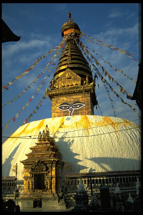 AmaDablam2012's profile picture. None commercial Ama Dablam expedition 2012