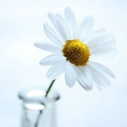 数年前にPMS(月経前症候群)になり、それ以来ずっと改善に取り組んでいます。現在は仕事ができるまでに体調が改善。自身の経験から、同じ症状に悩む女性のためのサイトを立ち上げました。同じ悩みを持っている人の力になりたいと思ってます！
