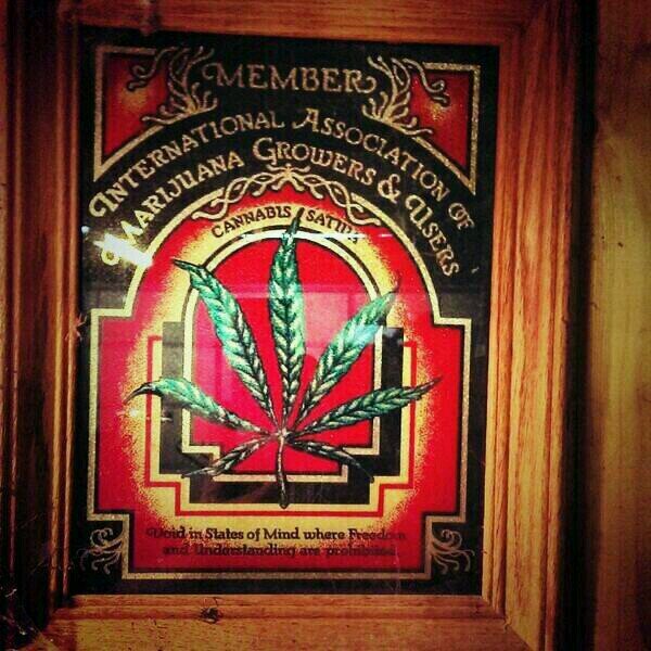 Just a stoner living life. Vivere ogni giorno come potrebbe essere la tua ultima. #StonerFam