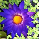 Wade Stein - @SteinWade - Twitter