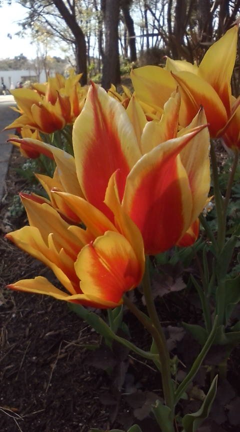 82kokaku69's profile picture. 