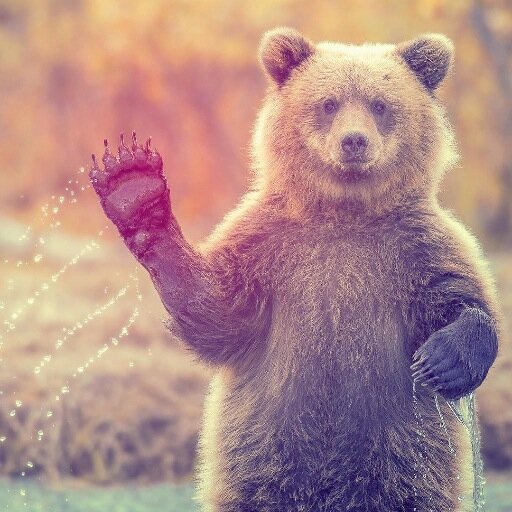 TaylorSealy2's profile picture. Floating along in this world