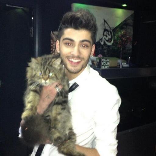 i love zayn malik so much it hurts