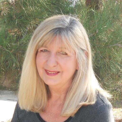 Donna Amis Davis writes fun, light-hearted mysteries set in beautiful, beachy places. Read The Fool on the Hill in a Convertible, '60s Surf Shop Mystery Series.