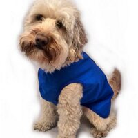 Doggie Coats (@doggiecoatsuk) Twitter profile photo