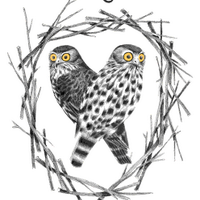 Barking Owl Sound (@barkingowlsound) 's Twitter Profile