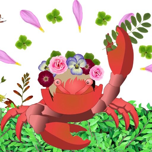 KrabMV's profile picture. Родился в суровых водах Териберской губы. Многое повидал, но и представить не мог, что буду жить в такой шикарной ванной.