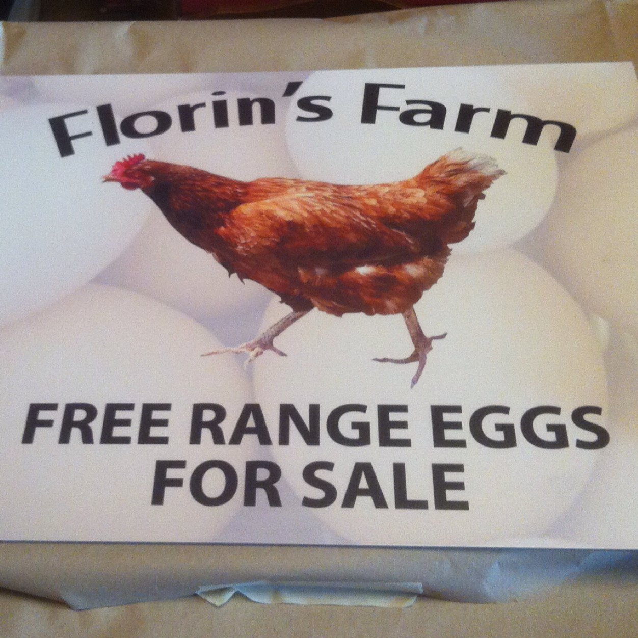 We have a variety of poultry,waterfowl, a flock of Jacob sheep & British Lop Pigs. Ex barn hens now freerange produce eggs for our friday egg run.