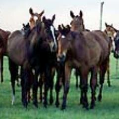 JMocatta's profile picture. 