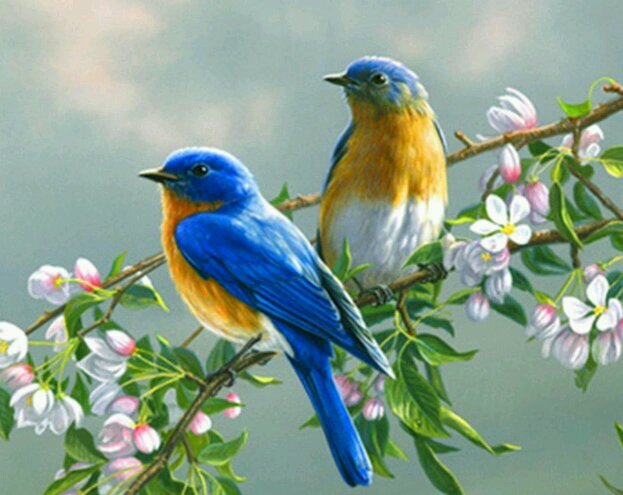 TaybaMohdikram's profile picture. I have done Master's in English Literature,possess very fine knwlege about IT world and social media i love nature and its heart touching beauty and aroma.