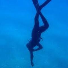 MaurizioSoddu's profile picture. 